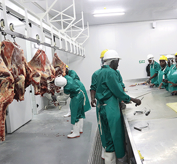 abattoir Meatco’s N$170 million Rundu abattoir operational