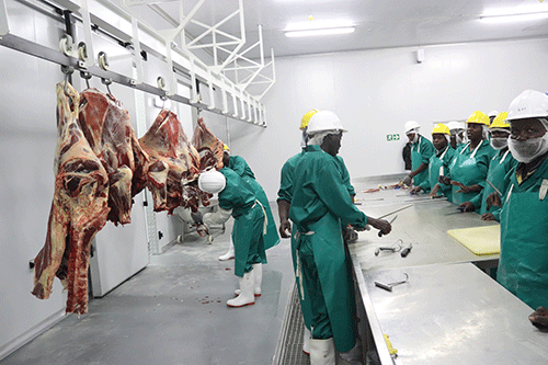 abattoir Meatco’s N$170 million Rundu abattoir operational