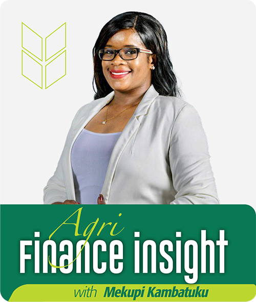 agri finance insight mekupi kambatuku 1 Agri Finance Insight | Importance of financial components to farmers