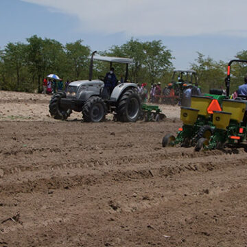 agriculture 1 Govt implements crop production programmes