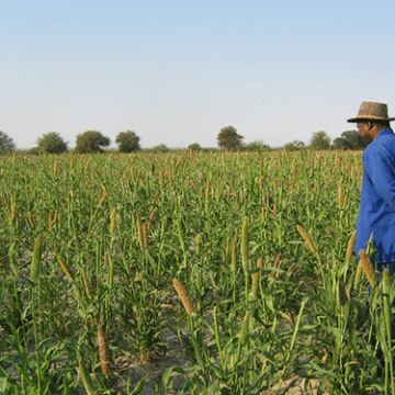 agrisector Agri sector remains resilient to challenges