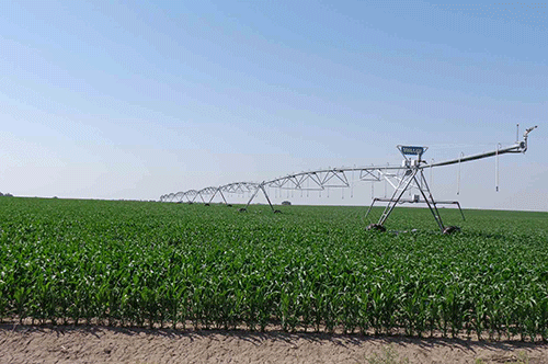 agronomy sector Agronomy sector production declines …import bill at N$300 million