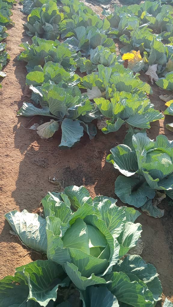 Otjozondjupa forum: We can feed ourselves