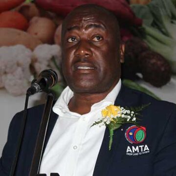amta AMTA dismisses managing director