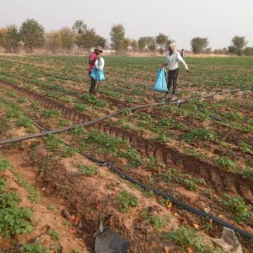 amta1 Financial constraints hamper AMTA operations… labelled a white elephant