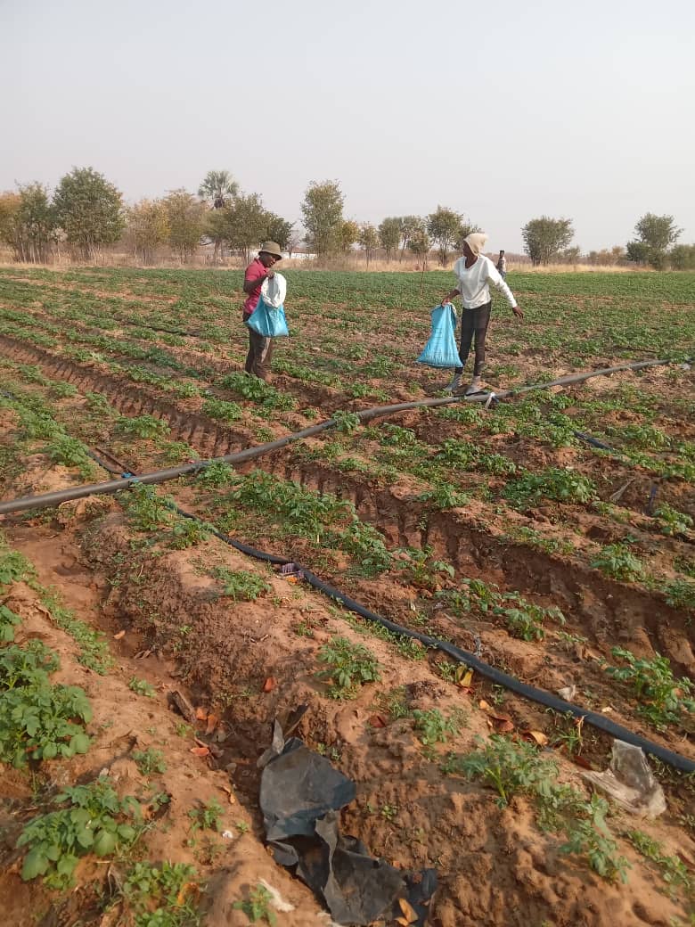 amta1 Financial constraints hamper AMTA operations… labelled a white elephant