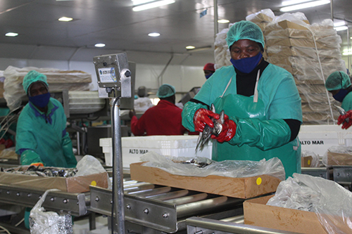 auction Late quota auction costs government millions