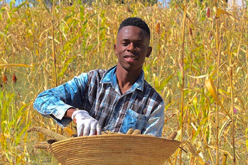 banktrack BankTrack warns against Recon financing