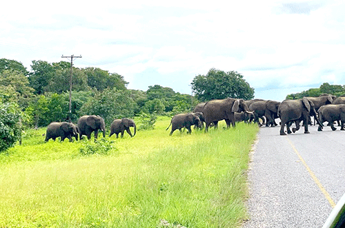 botswana kuna kuhundira uk vasani Botswana kuna kuhundira UK vasani vawo vaturepo veta