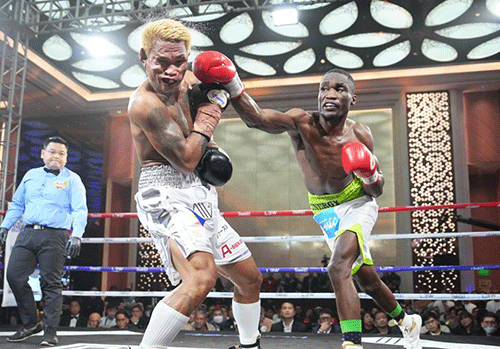 boxer jpg We are aiming for the World Title – Tobias