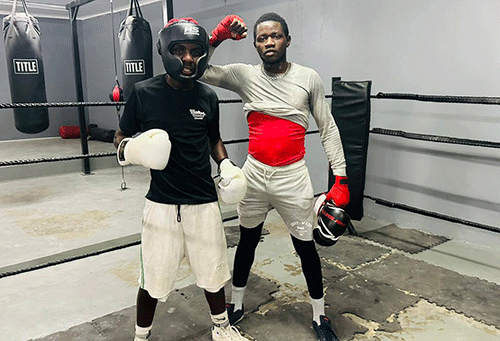 boxing 2 Teremoto boxing stable aims for dominance