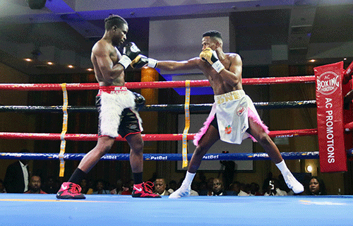 boxing jpg 1 Boxers in good shape – Moses…as bonanza draws closer