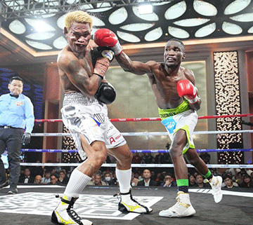 boxing jpg 3 All systems go for Together as One boxing bonanza