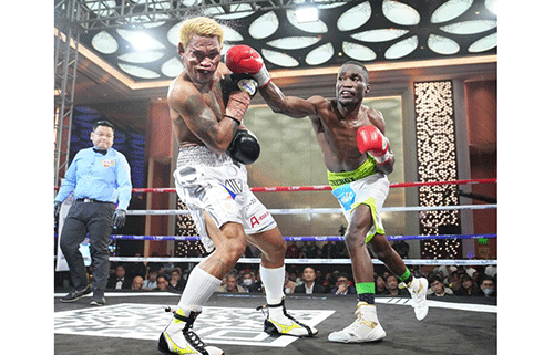 boxing jpg 3 All systems go for Together as One boxing bonanza