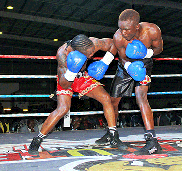 boxing jpg Top prospects to showcase their talent…as MTC Kilimanjaro hosts boxing bonanza