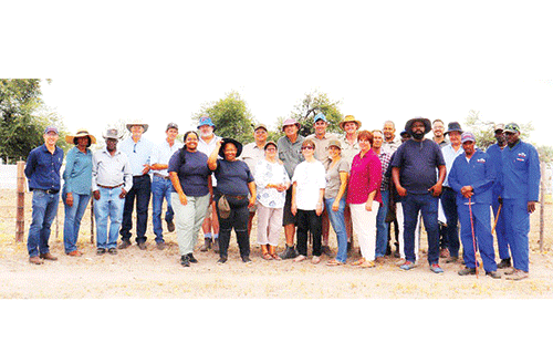 brahman 1 Farmers celebrate Brahman Day