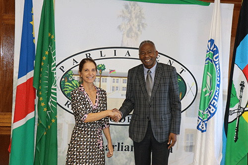 brazil Brazil-Namibia relations need boosting