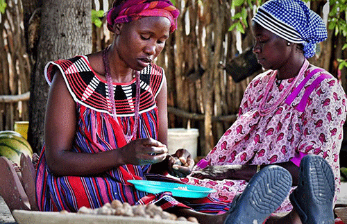 breaking barriers 1 Breaking Beariers- Rural women prosper with marula