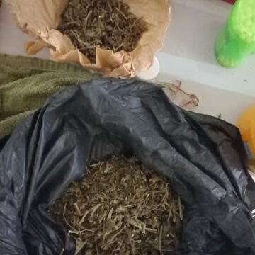 cannabis A mangwa sho a adhika niingangamithi