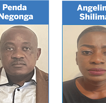 capitalism Capitalism as an effective political, economic system in Namibia