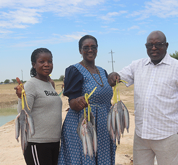 catfish Catfish lovers flock to Ombadjele village