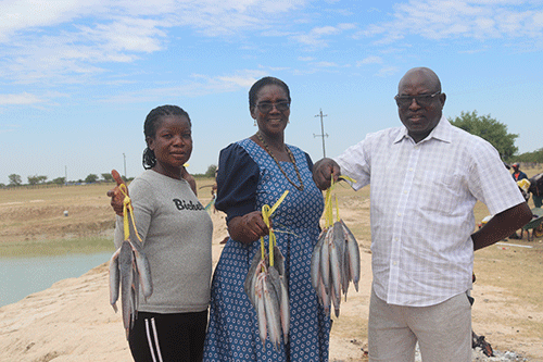 catfish Catfish lovers flock to Ombadjele village