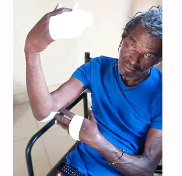 cattle truck Namibian truck overturns in Botswana