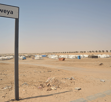 ceo Sinvula back in office as infighting lingers