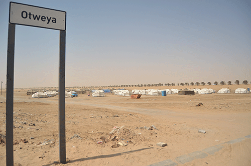 ceo Sinvula back in office as infighting lingers