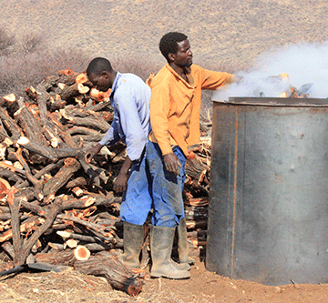Charcoal producers seek international market entry
