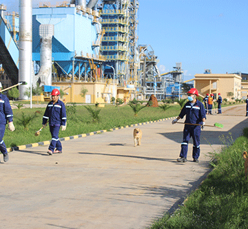 cheetah Cheetah Cement reopens after health concerns