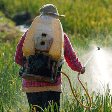 chemicals crops Key factors when using chemical remedies in crop production