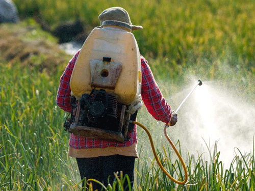 chemicals crops Key factors when using chemical remedies in crop production