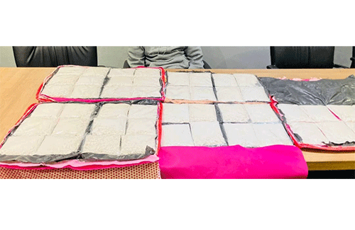 cocaine 1 1 Alleged cocaine smuggler remanded in custody