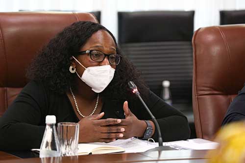 cook 2 Investment opportunities excite US delegation