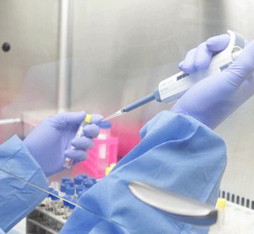 covid Govt monitors Covid variant closely