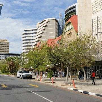 cow Welcoming spring with vibrancy