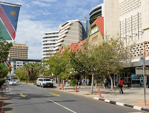 cow Welcoming spring with vibrancy