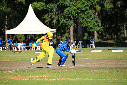 cricket Capricorn Eagles in good start…stumble against hosts