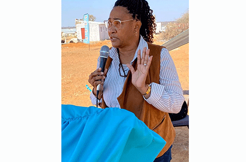 cro Vacant CEO positions irk ministry