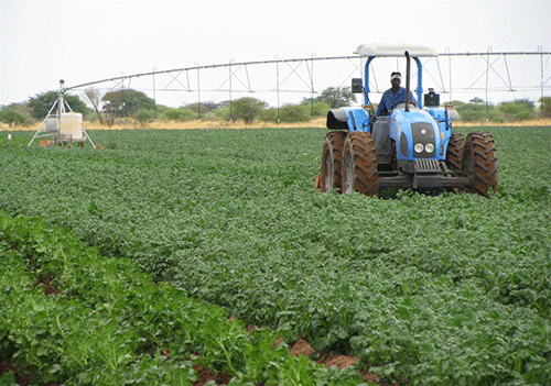 crops1 1 Good prospects for agri sector in 2023