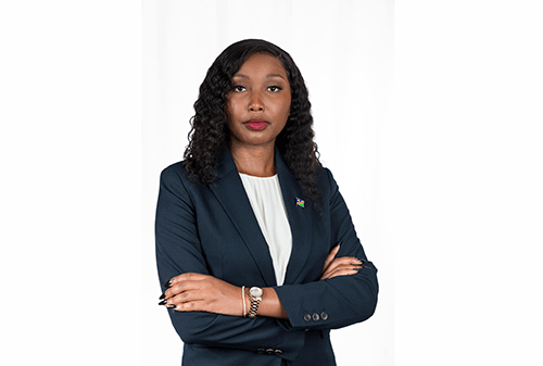 cyber Surging cyberattacks show need for robust security – Theofelus