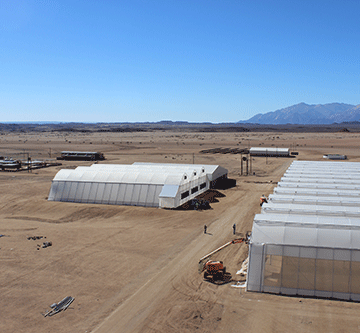 Behemoth emerges from wilderness …as Daures Green Hydrogen Village gains traction