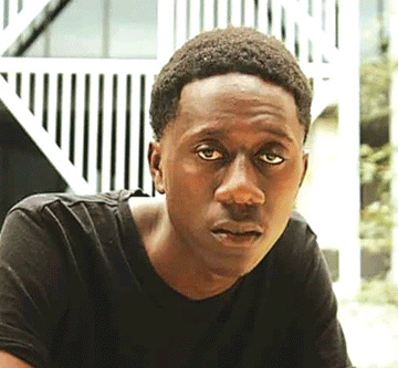 david image two Harmonising resilience