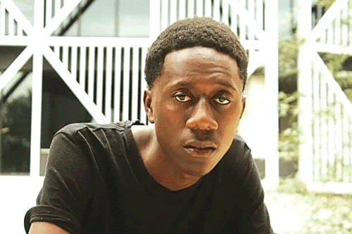 david image two Harmonising resilience