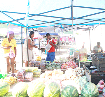 dbn rolls out n 20 billion in 20 years DBNs ge N$20 biljunsa 20 kuriga !nâ māǂui hâ