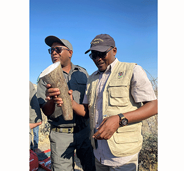 dehorn 1 1 Dehorning costs ministry N$50 million