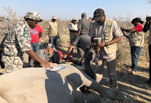 dehorn 2 2 ǁNâga ǁaraǁnâs ge ministerisa N$50 miljun marisa ra ǂgan