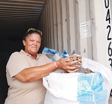 devils claws Zambezi devil’s claw invades Germany