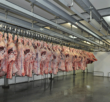 divorce 1 ǂHanub ge supu ǀgaub ai !gameba ǀgorasa ra ǂâi!nâǁgui